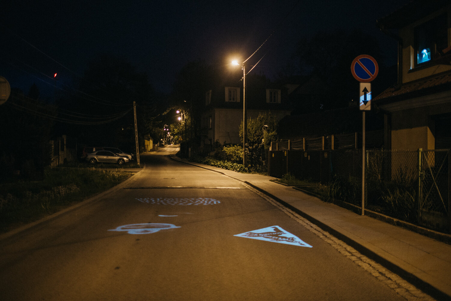 Świetlne sylwetki fantastycznych zwierząt na nocnej ulicy